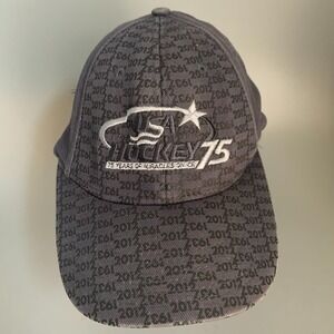 USA Hockey 75th Anniversary Hat 75 Years of Miracles on Ice Gray Stretch Fit Cap